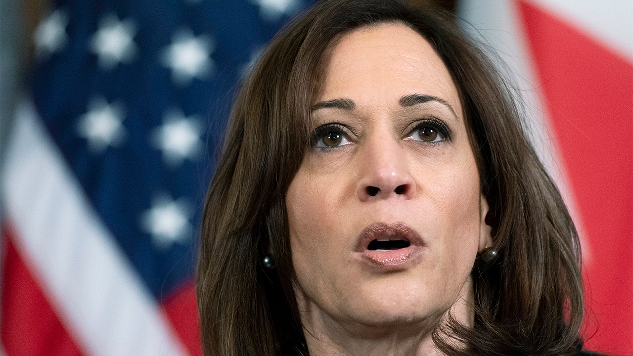 Americans grade Kamala Harris' performance as border czar