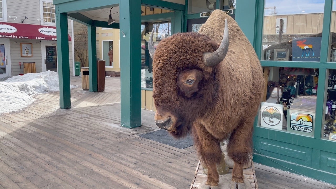 As war rages in Ukraine, Americans in Wyoming say climate and conservation top election issues