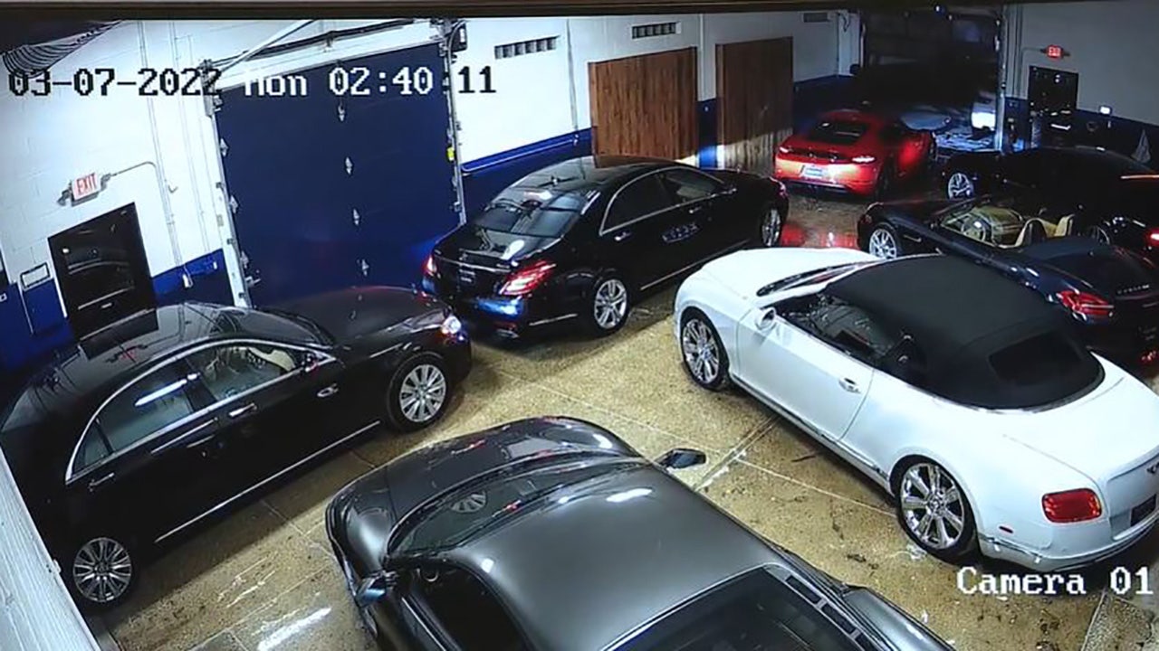 Thieves steal luxury cars worth nearly M from suburban Chicago dealership