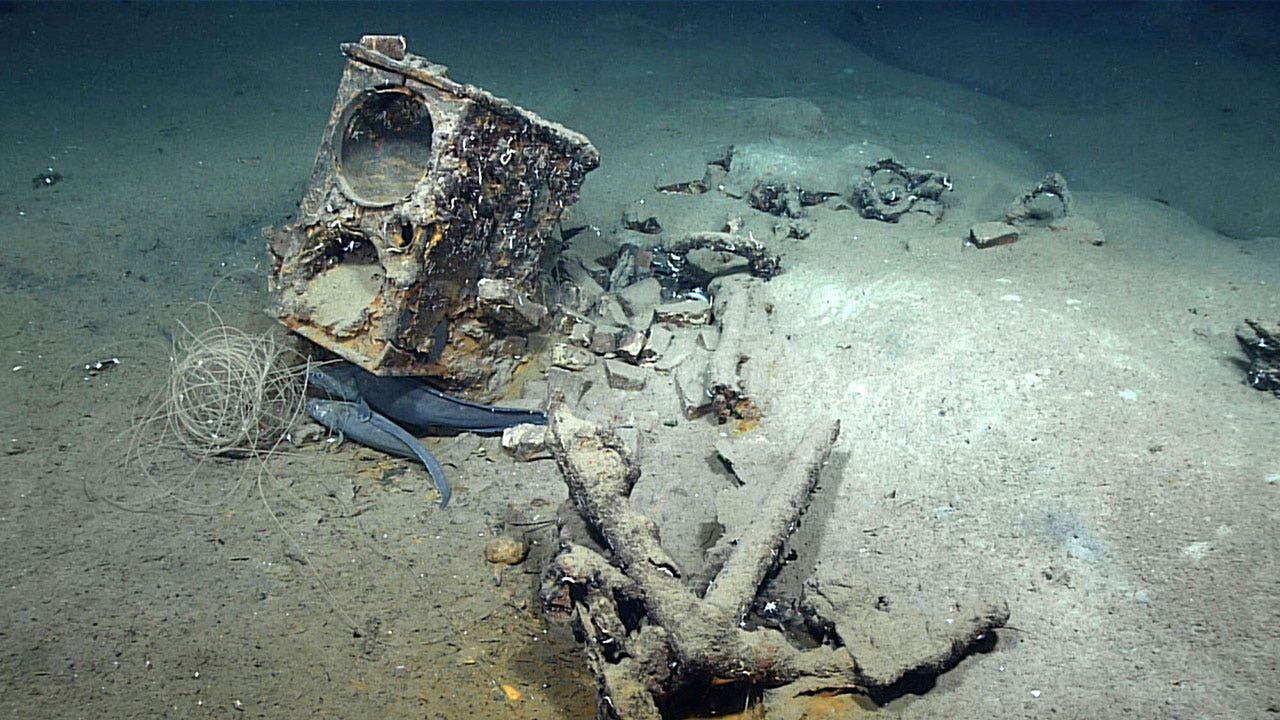 Wreck of only sunken Gulf whaler discovered 190 years later