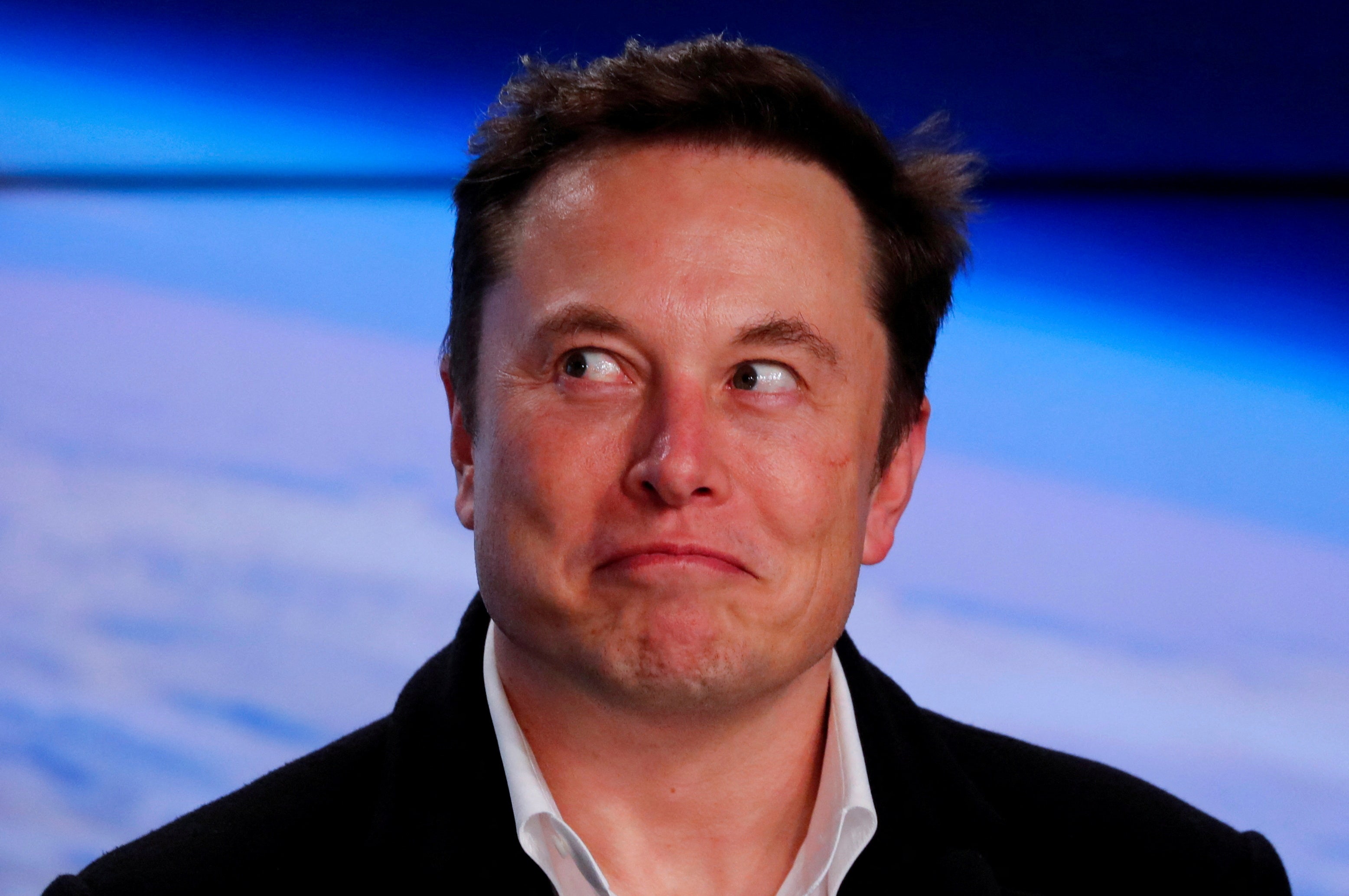 Liberal professor loses it over Elon Musk’s Twitter polls: For the next poll he can ‘shove it up his a–‘