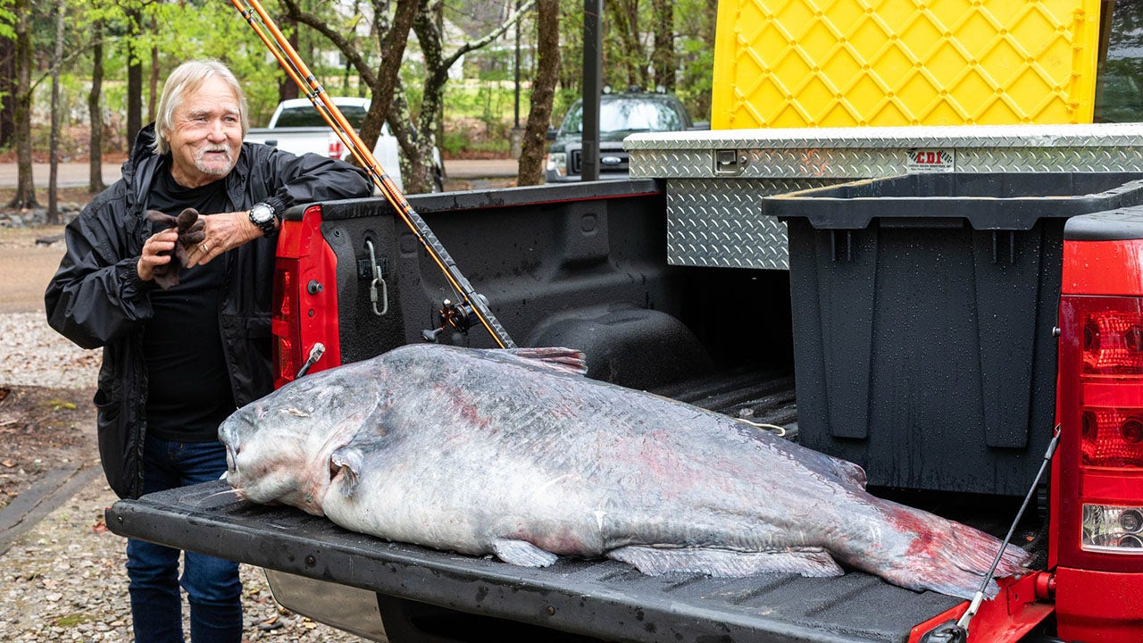 Angler reels in massive 'fish of a lifetime,' sets new state record