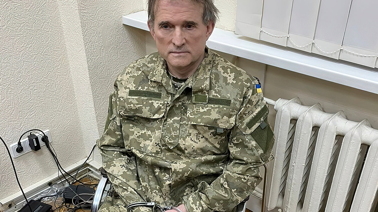 Pro-Putin fugitive politician captured in special operation Ukraine says – Fox News