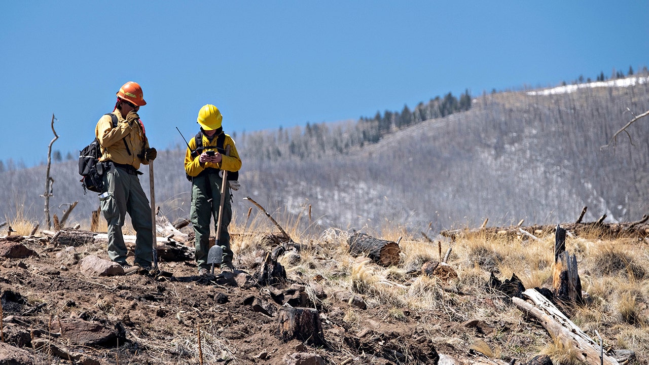 Wildfires fueled by windy conditions force more evacuations, hamper progress