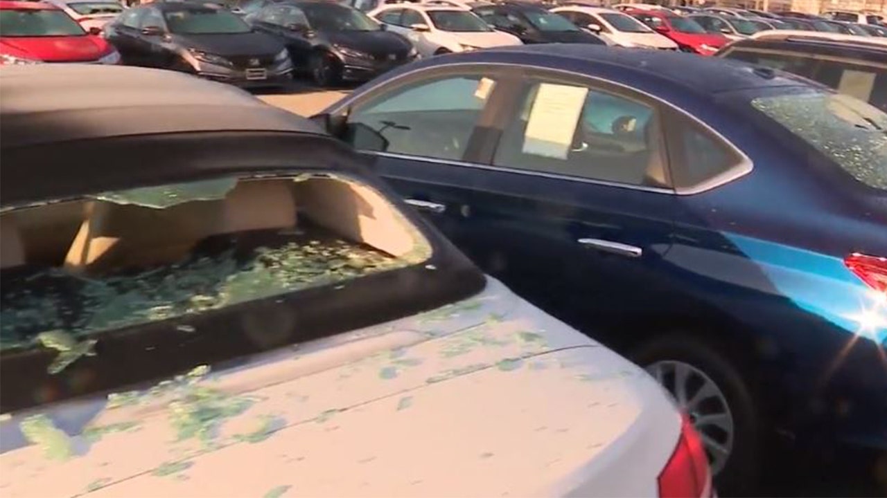 Chicago-area vandal smashes dozens of car windows at Honda dealership