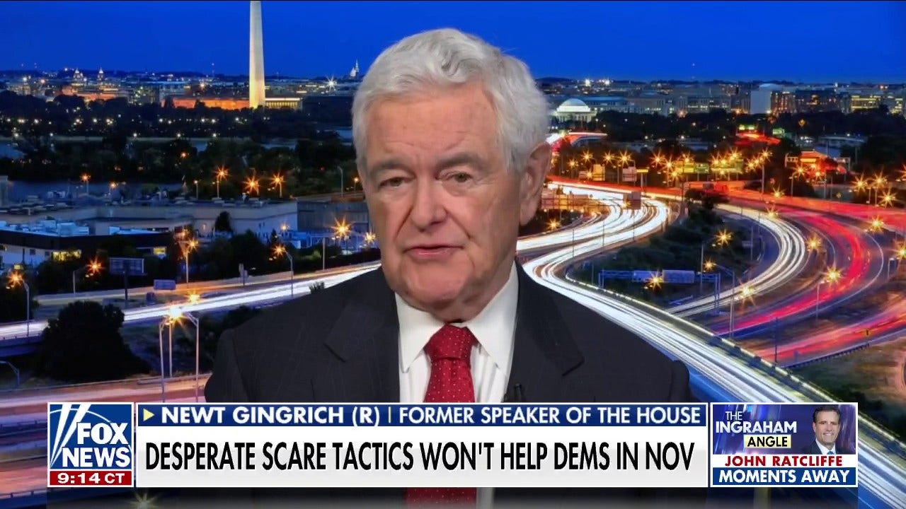 Gingrich: Democrats scaring voters using Trump is not going to work