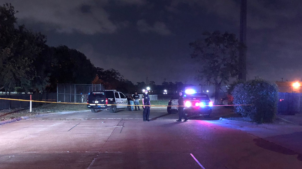 Texas toddler found unharmed inside car with body of man shot dead: reports