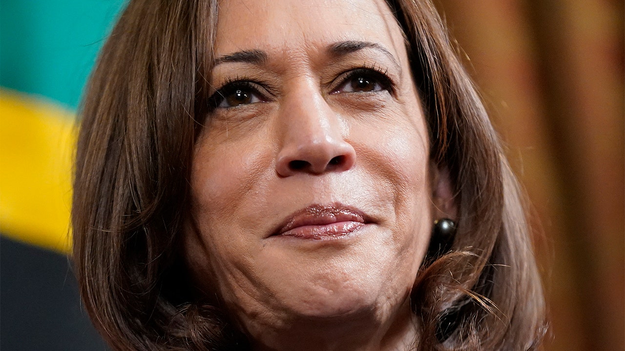 Kamala Harris praises Dem AGs for 'taking on' crisis pregnancy centers rocked by violence