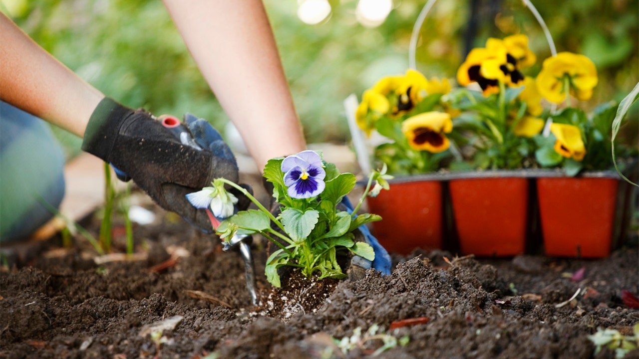 How do you start a garden? Find out the best month for planting your vegetables or fruits