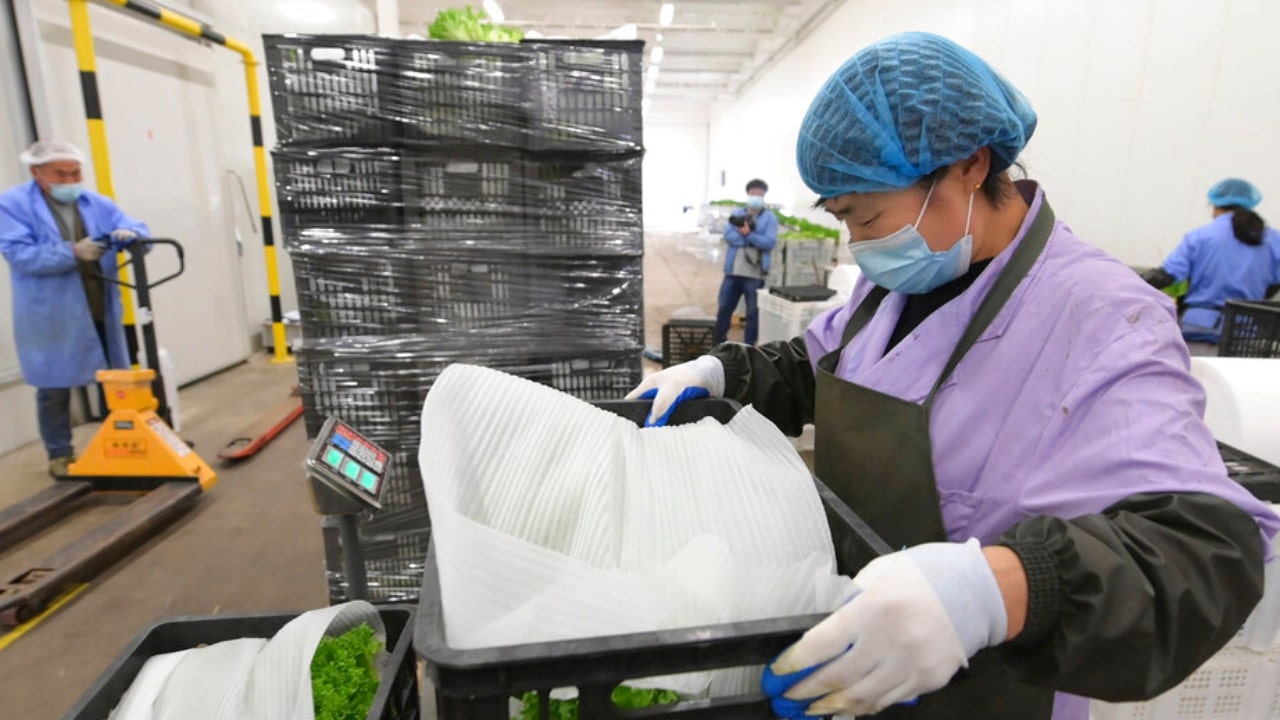 Shanghai pledges to improve food supplies, ease virus restrictions