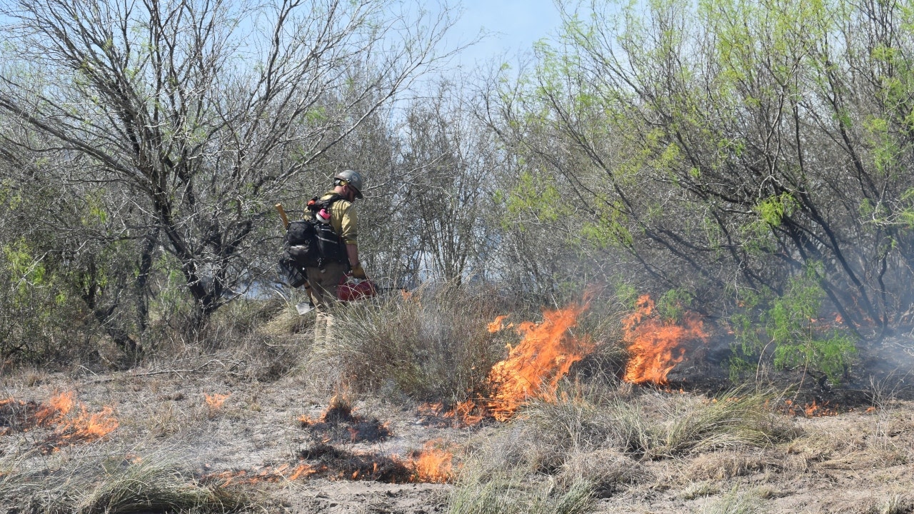 Texas crews make progress on 46,000-acre blaze, state preparedness level raised