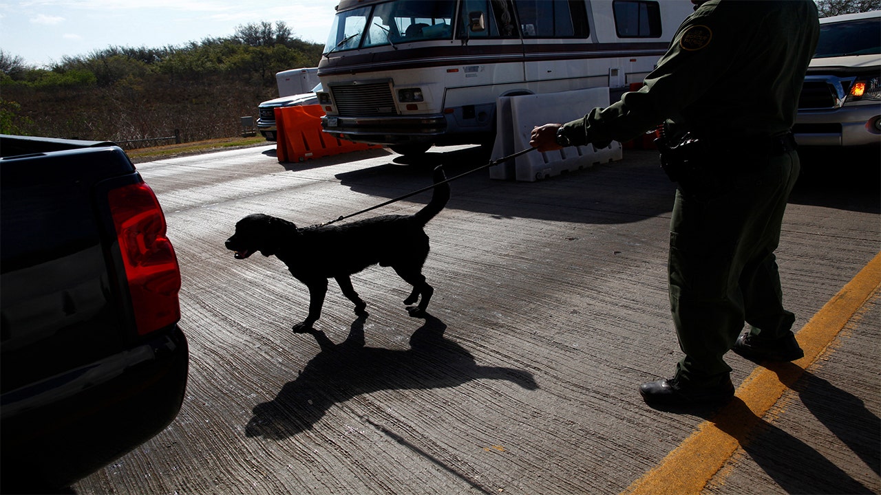 Texas Border Patrol agents arrest child predators, gang members trying to enter US illegally