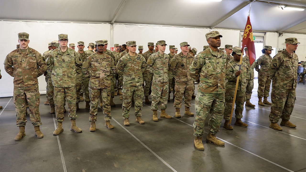 Army soldiers stand in formation