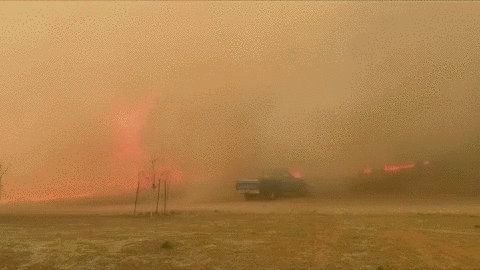 USA Updates Arizona wildfire spreads to more than 6,000 acres, prompting evacuations
 TOU