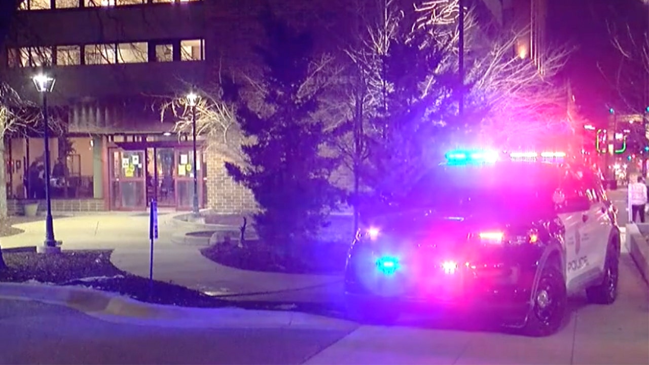 Minnesota 10-year-old boy fatally shot in apartment with second child, no adults present