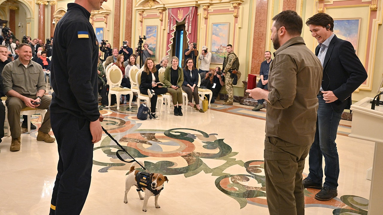 Bomb-sniffing Jack Terrier awarded service medal by Ukraine's Zelenskyy