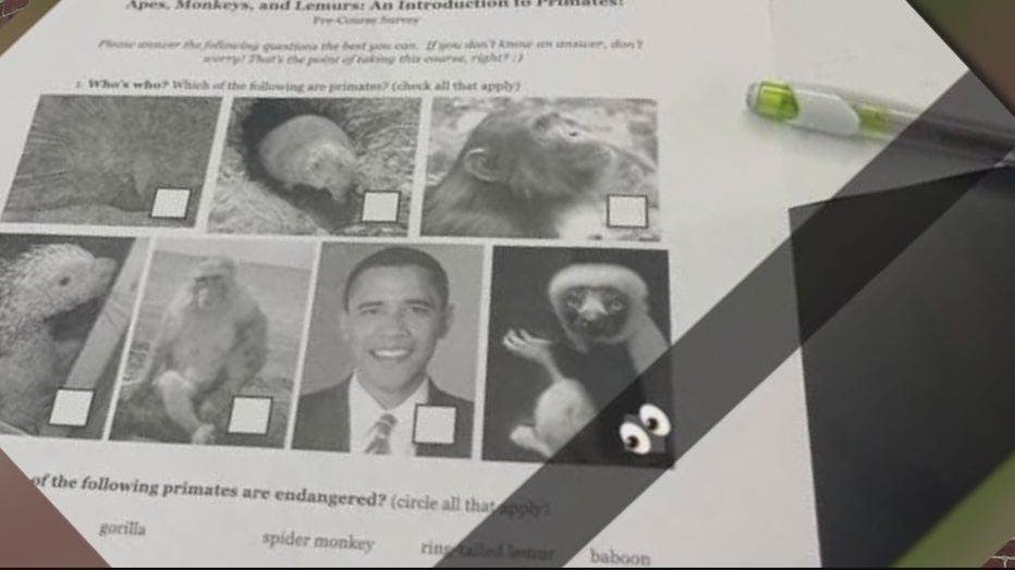 Michigan school that passed ‘anti-racism resolution’ suspends teacher for worksheet comparing Obama to monkeys – World news