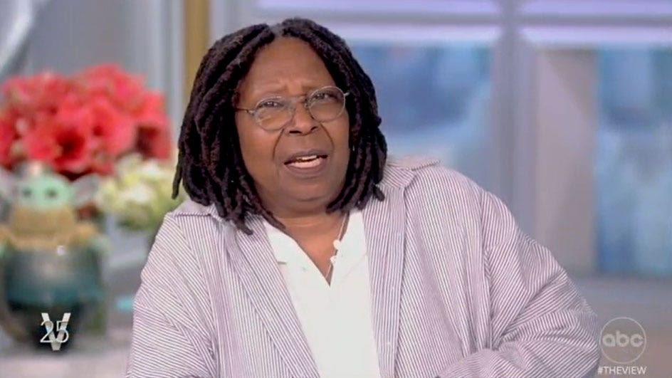 ‘The View’ co-host Whoopi Goldberg refers to House Republicans as ‘domestic terrorists’