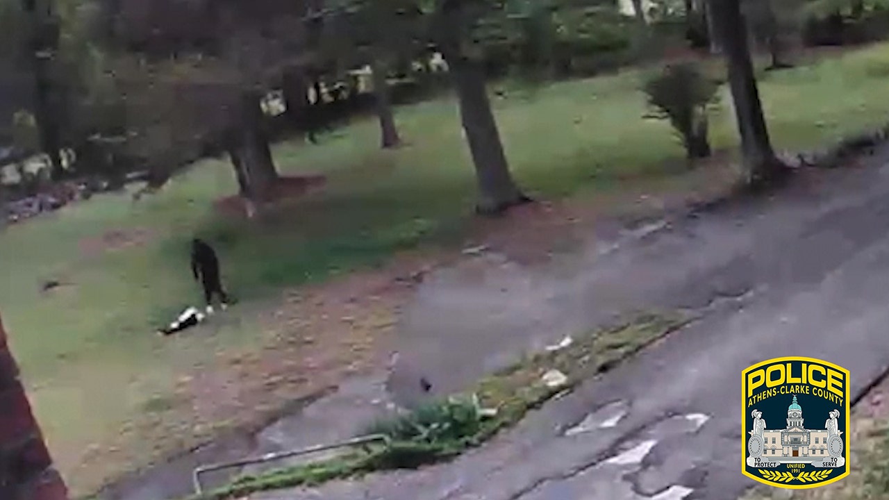 Georgia police searching for man allegedly caught beating dog on video