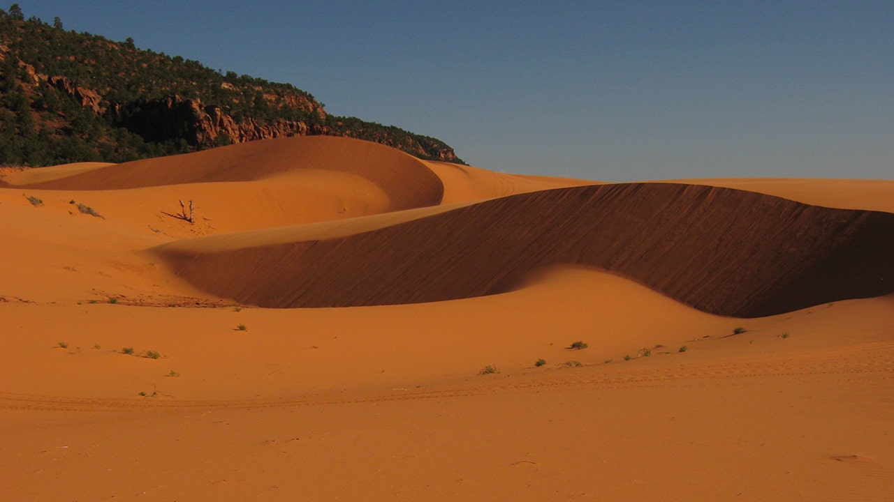 Utah teen dies after sand tunnel collapses, buries him at Coral Pink Sand Dunes State Park