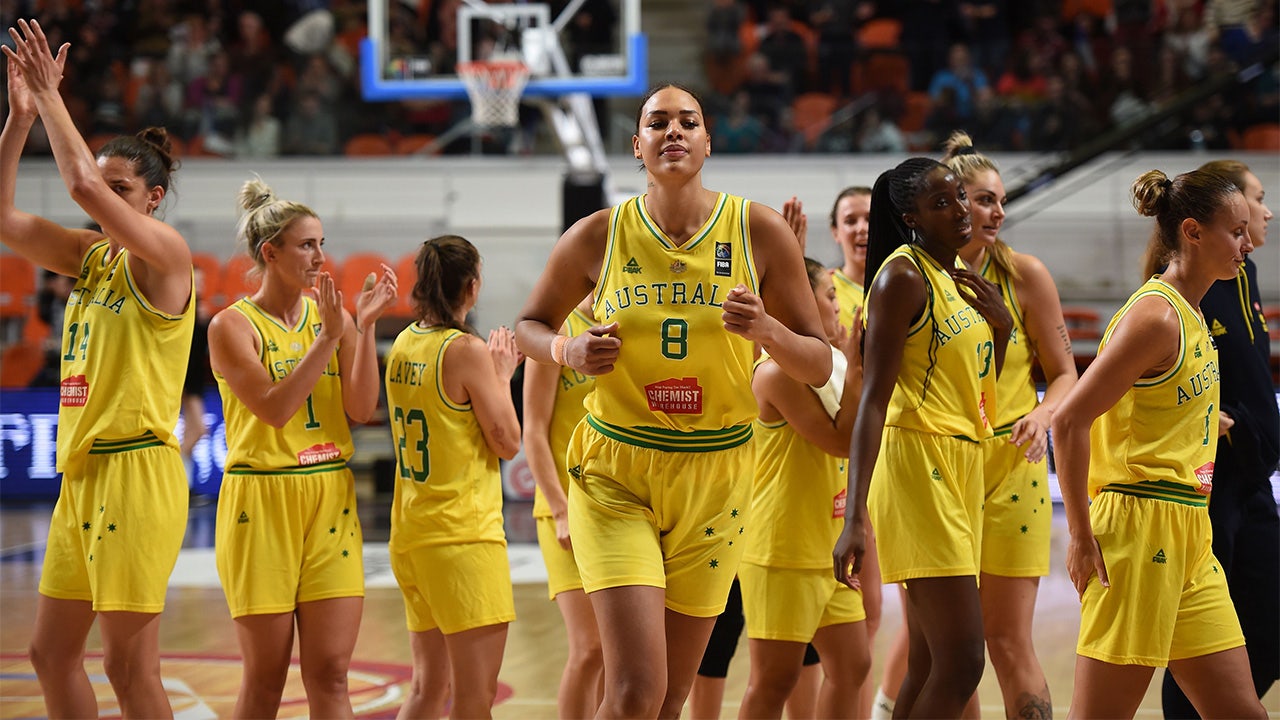 Sparks star Liz Cambage denies directing racial slur at Nigerian players  during pre-Olympics scrimmage 