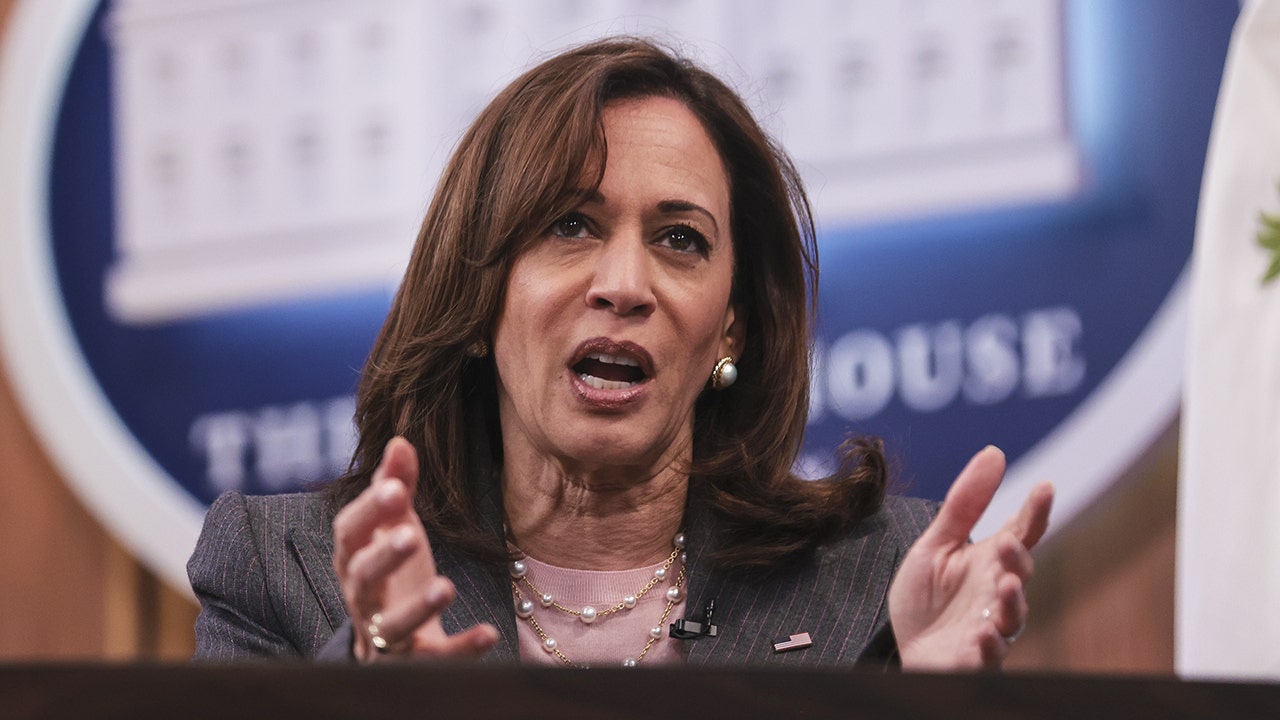 Harris claims overturning Roe v. Wade 'opens the door to restricting' other rights like gay marriage