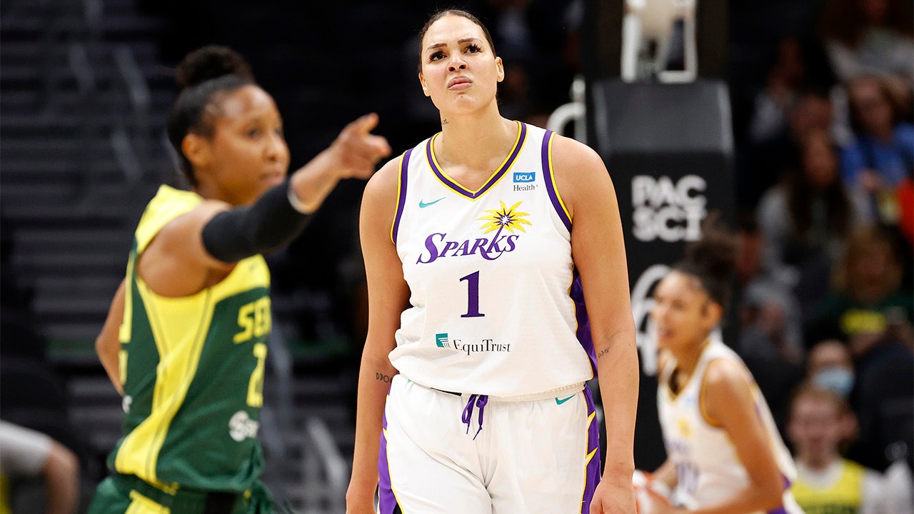WNBA star Liz Cambage accused of directing racial slur at Nigerian players before Tokyo Olympics: Report