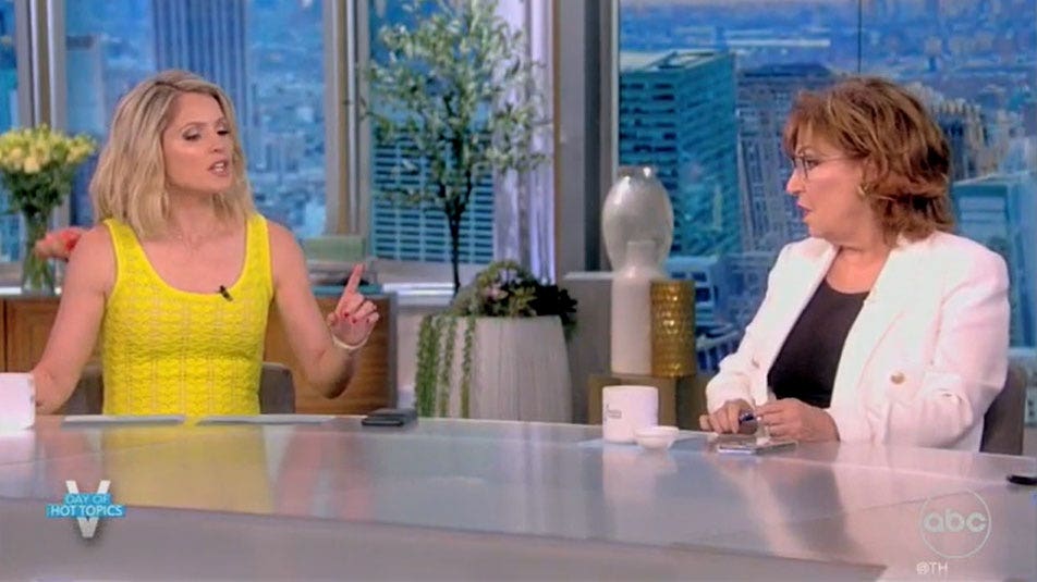 ‘The View’ hosts clash over ‘rigged’ Electoral College, some claim system ‘based in slavery’