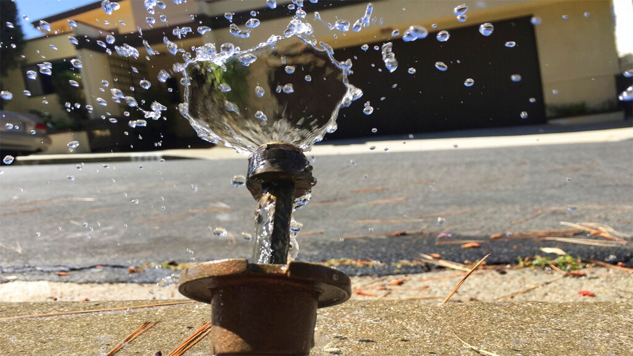Los Angeles DWP announces new water restrictions amid California drought