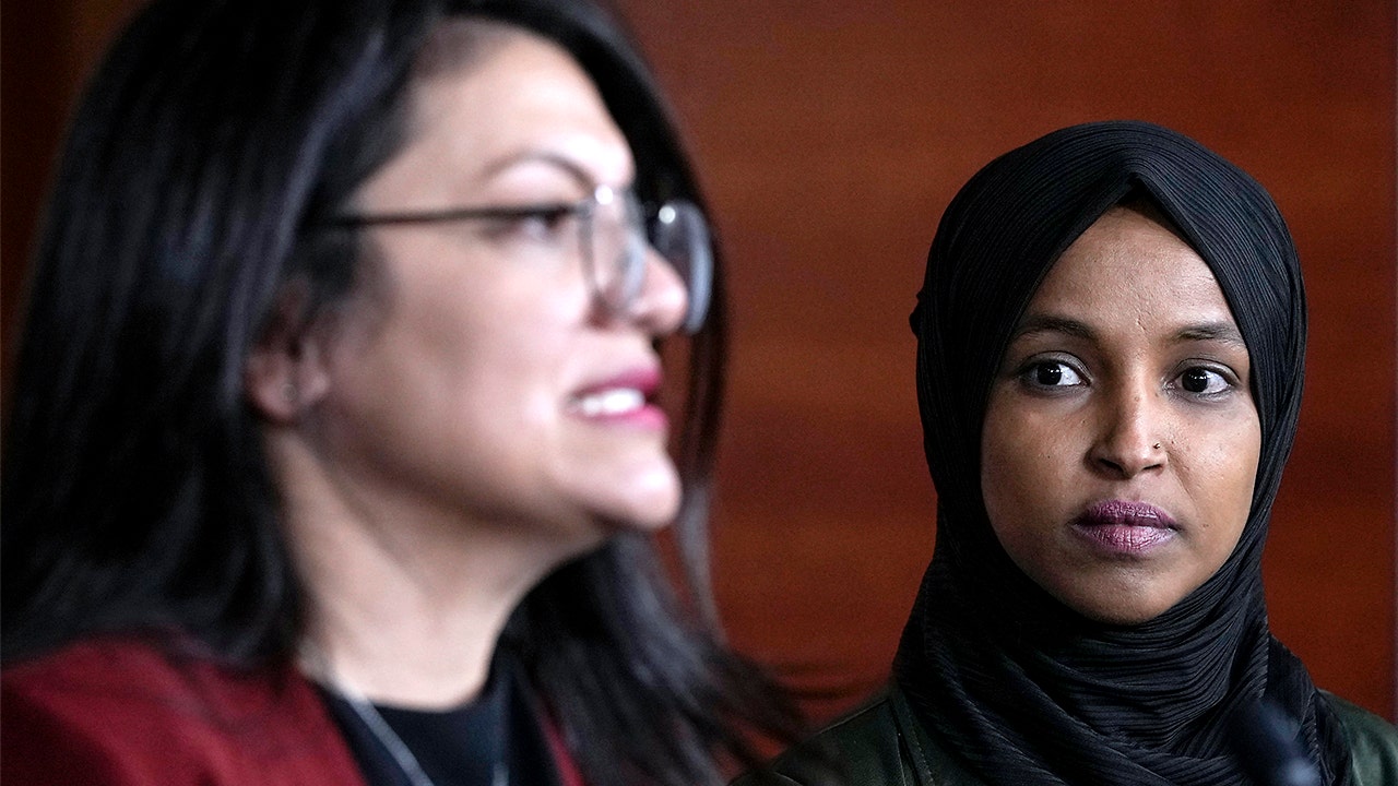 Rashida Tlaib's campaign dished out $200K to anti-Israel activist, defund the police supporter's firm