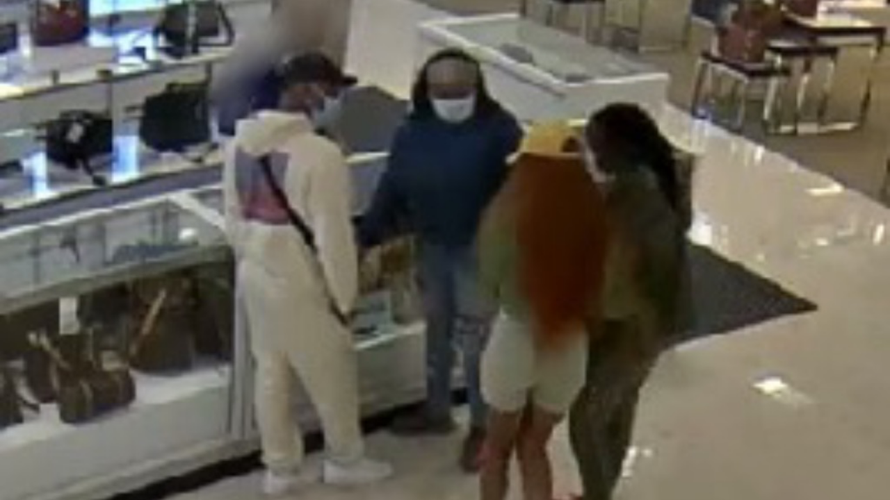 Alabama police looking for suspects who allegedly stole Louis Vuitton handbags from Belk department store