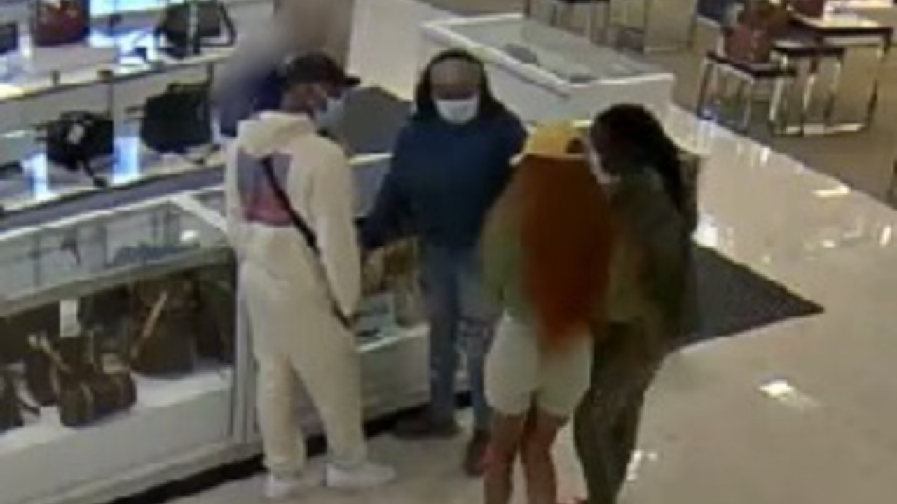 Police: $23,000 worth of bags stolen from Roosevelt Field Mall's Louis  Vuitton store