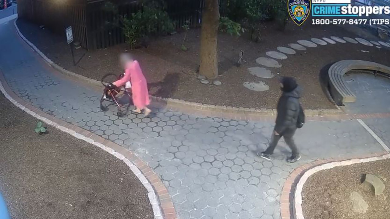 NYPD searching for brazen purse-snatcher who robbed 90-year-old woman in Manhattan