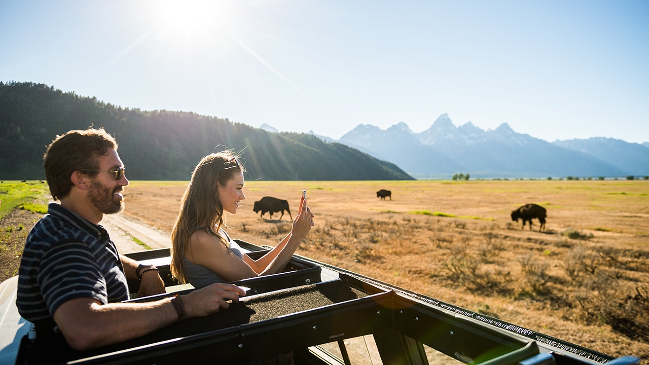 Wyoming nonprofit protects Yellowstone, Rocky Mountain west wildlife, holds tourism accountable