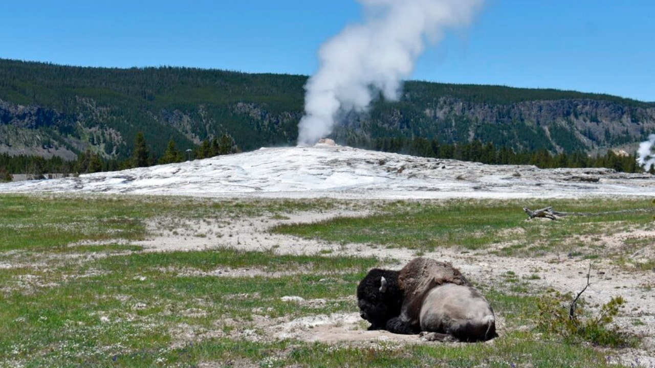 Fire danger 'moderate' in Yellowstone National Park after historic floods