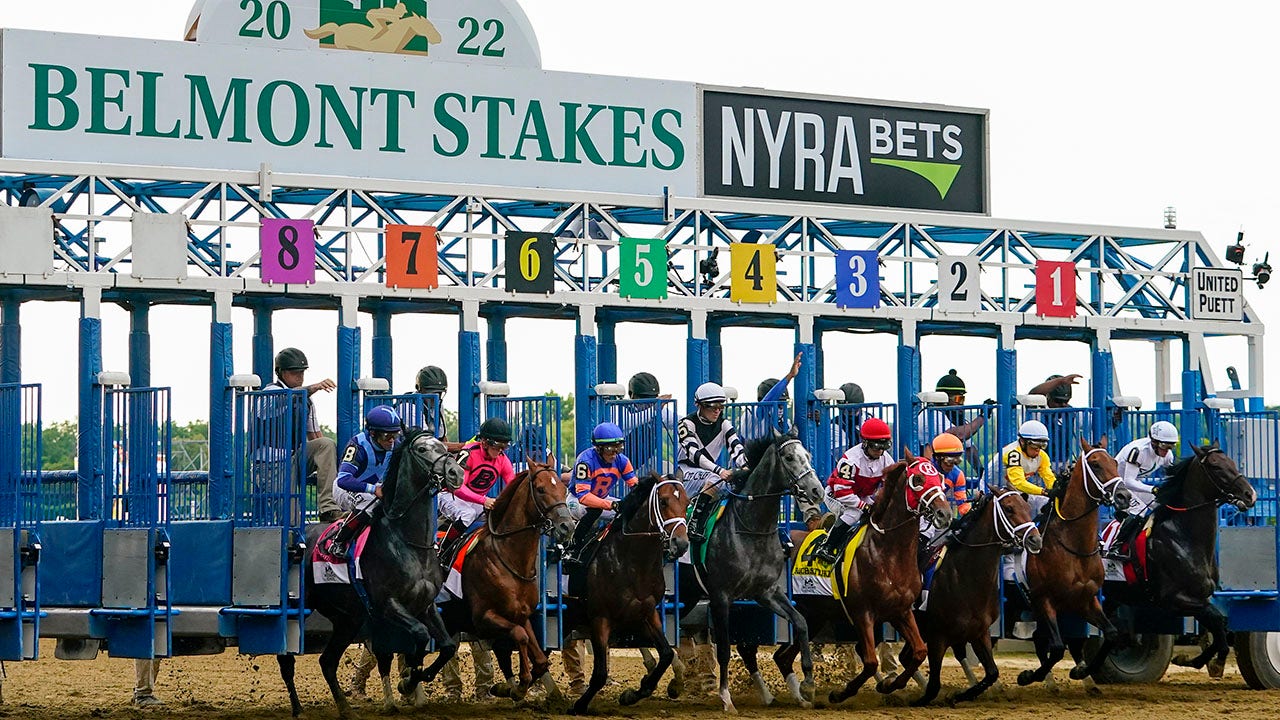 Belmont Stakes vs. Preakness Stakes What separates the two horse