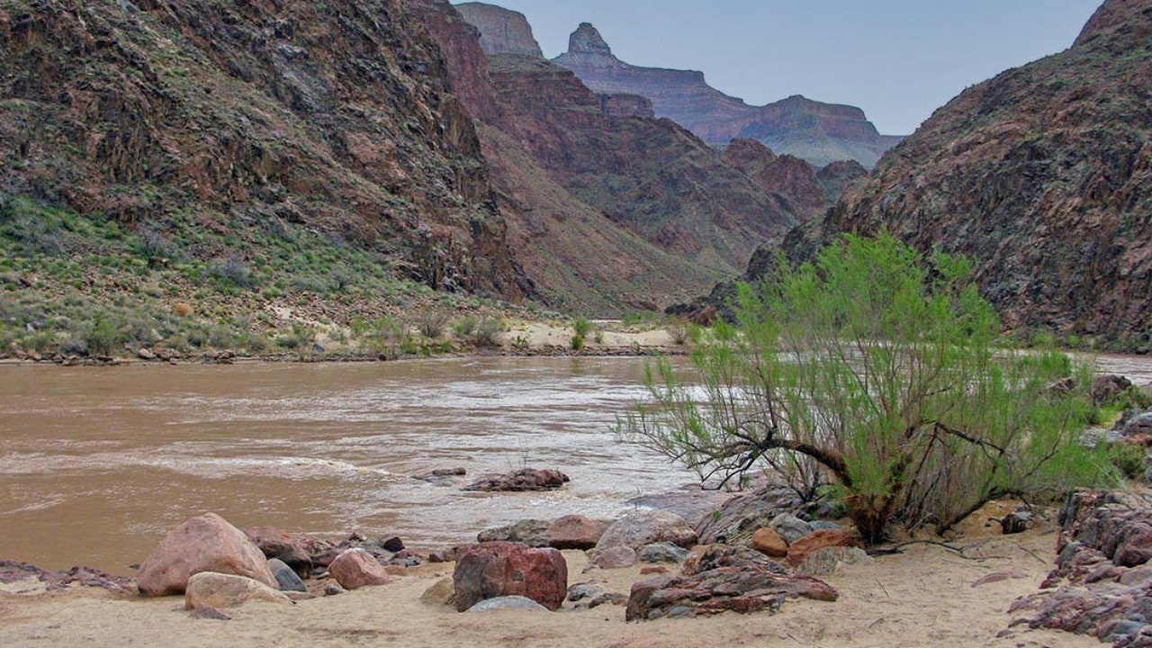 Woman drowns after falling into Colorado River