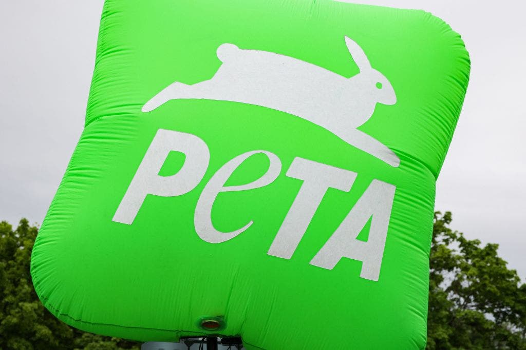 PETA rewrites the Bible with the help of ChatGPT to make the Book of