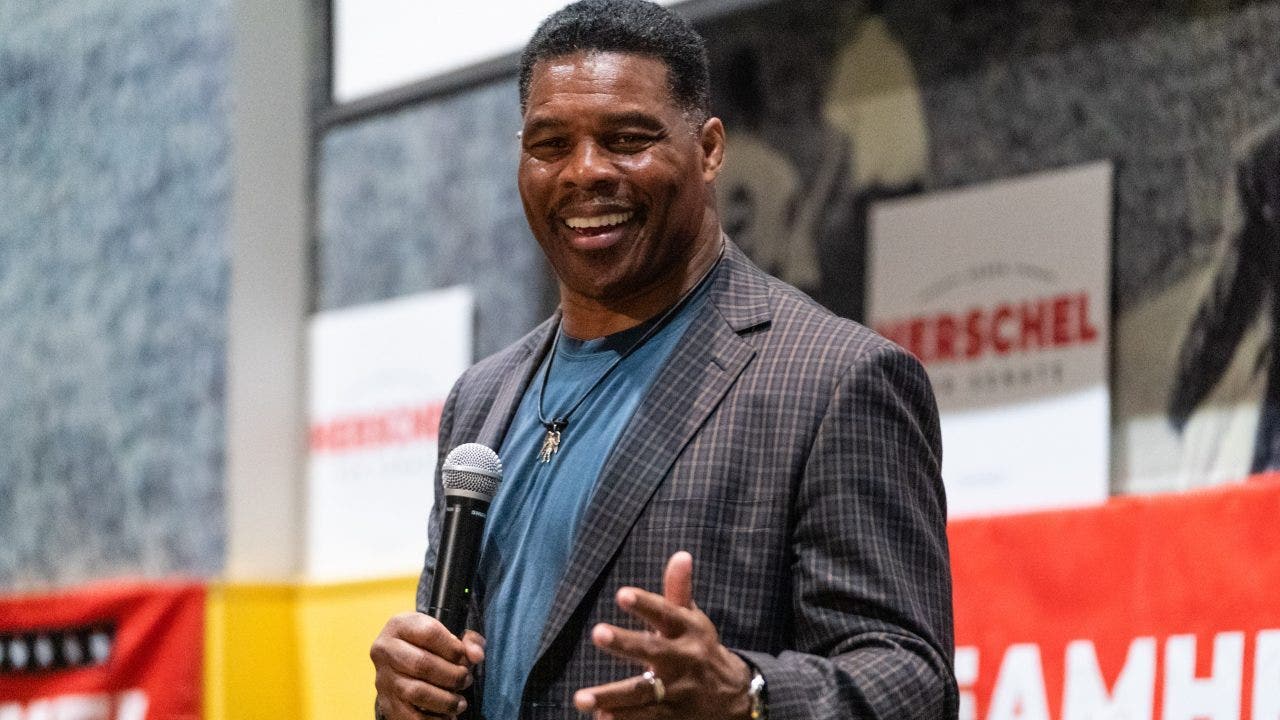 MSNBC guest says Herschel Walker is 'what Republicans want from their Negroes'