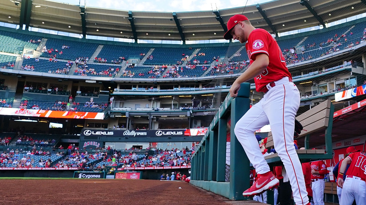 Angels rookie Reid Detmers throws no-hitter against Rays