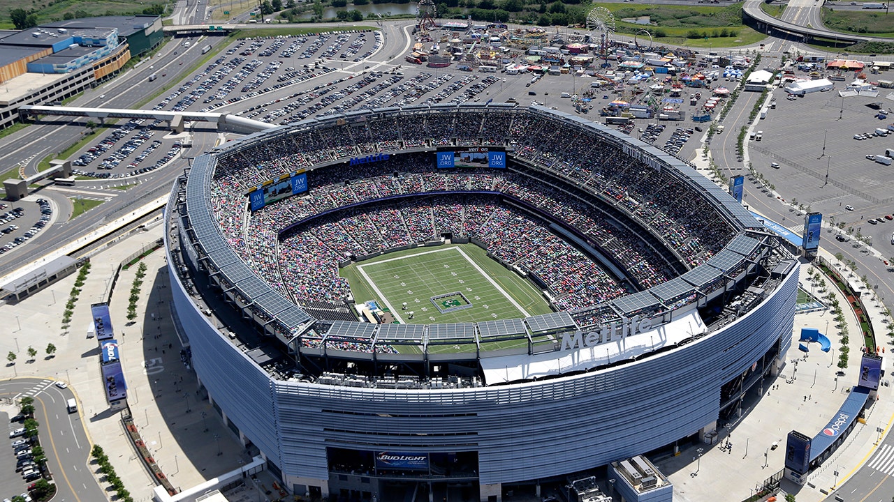 NFL players may collectively bargain for grass fields in future negotiations but it would come at a cost NFL players may collectively bargain for grass fields in future negotiations but it would come at a cost