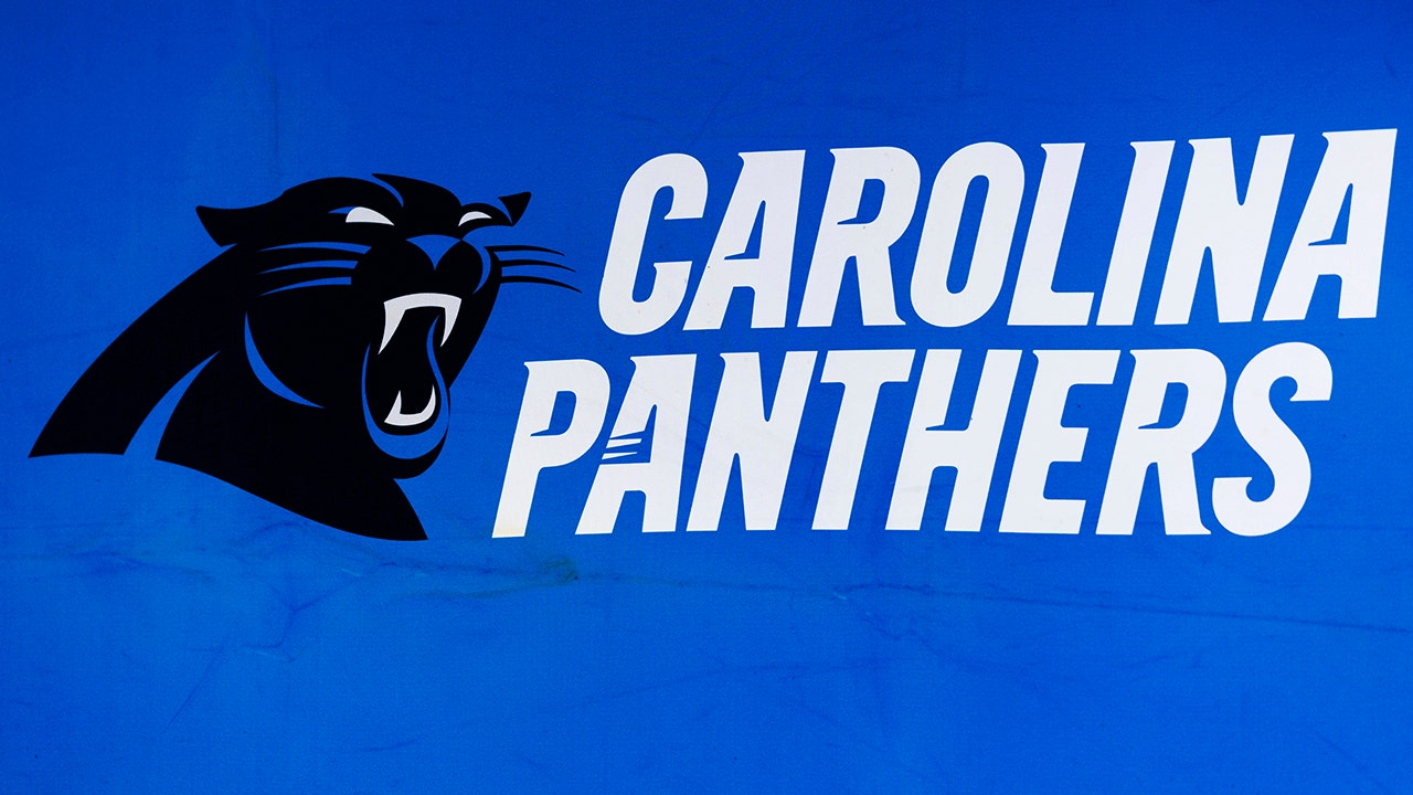 Carolina Panthers Hire NFL's First Openly Trans Cheerleader, Justine Lindsay