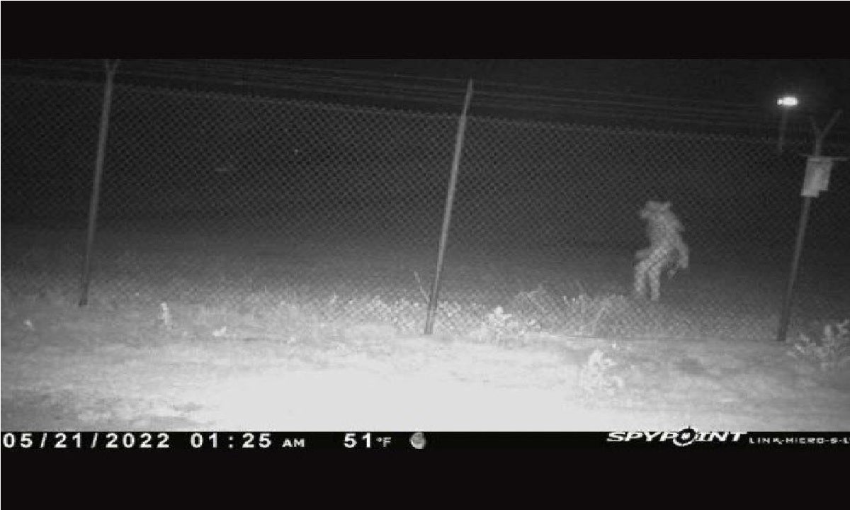 Unidentified object filmed outside Amarillo zoo, city officials ask for theories