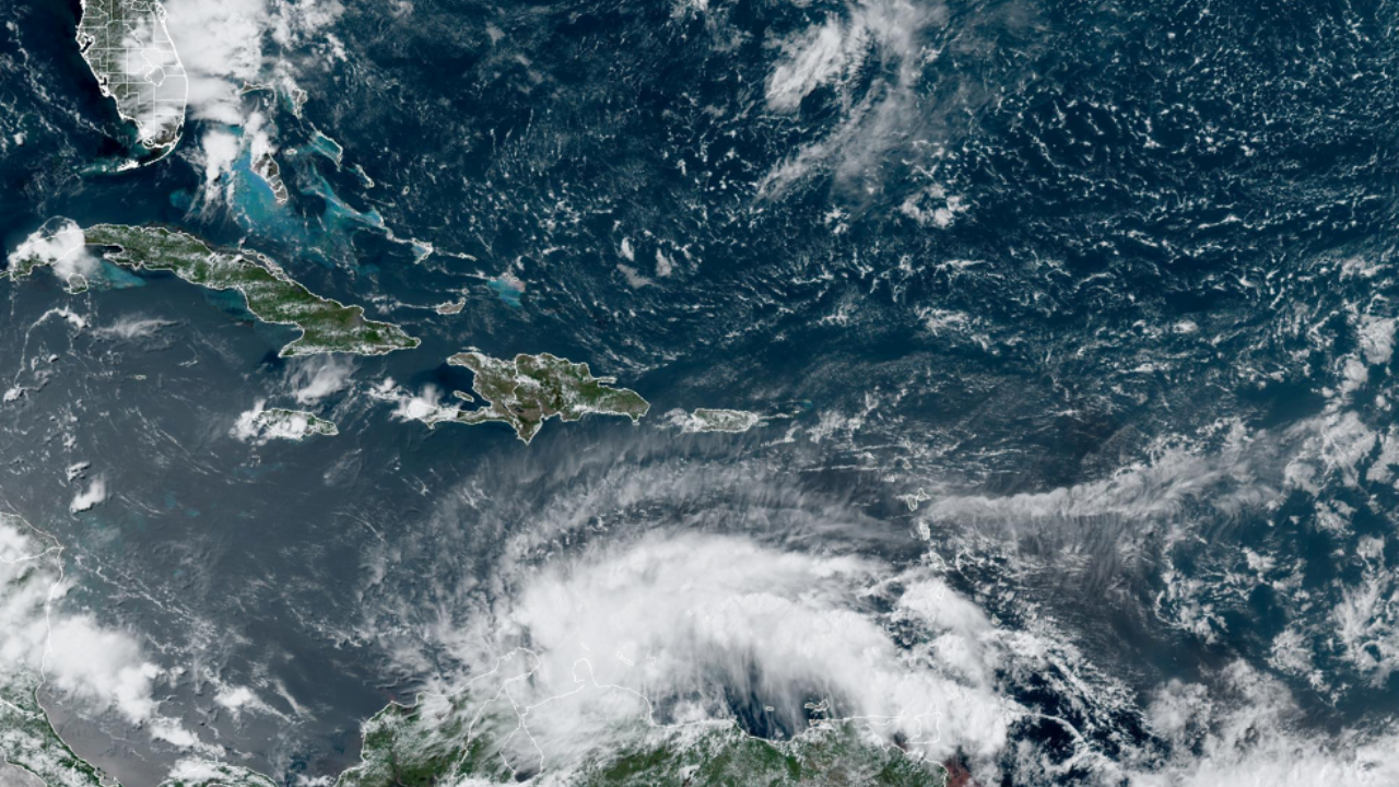 Bão nhiệt đới Bonnie có khả năng hình thành ở Caribe, gây ra lượng mưa khoảng 6 inch trên một số hòn đảo