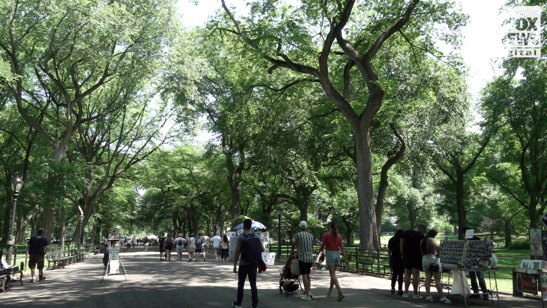 For Father’s Day, Central Park visitors share their dads’ best advice – World news