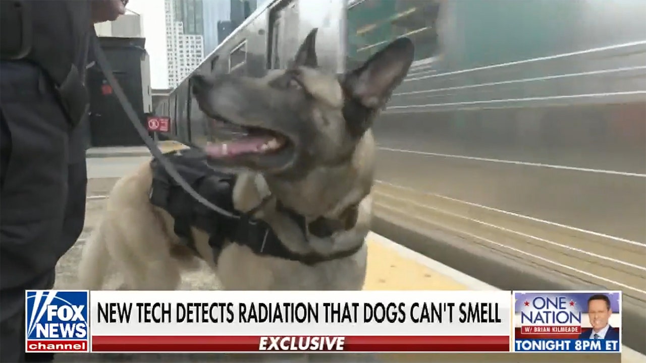 Dogs in bomb-detecting harnesses help NYPD patrol the city