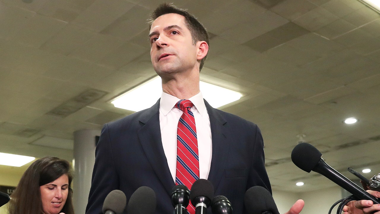 Tom Cotton jabs New York Times over Taliban leader's op-ed: 'I’ll promise not to harbor al Qaeda leaders'