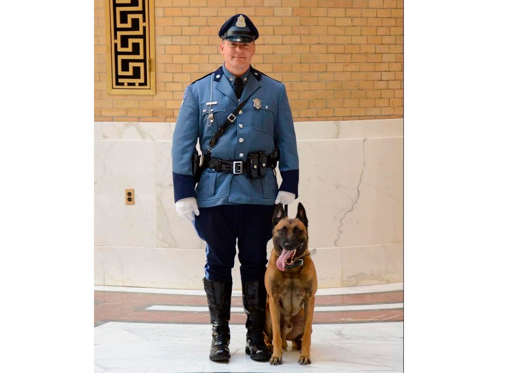 Massachusetts police dog fatally shot by man barricaded in his home