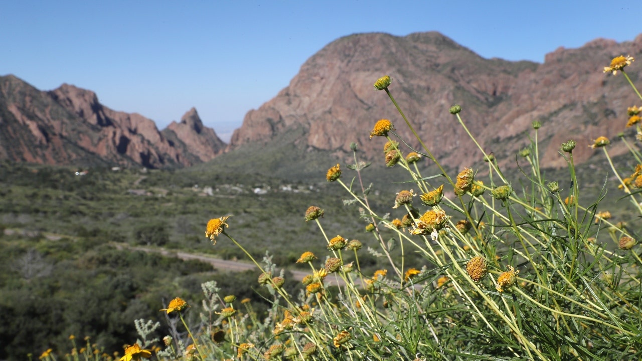 Texas man found dead at Big Bend National Park trail