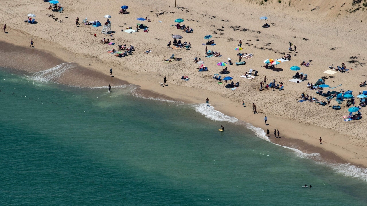 Cape Cod sharks keep close to shores: 11 sightings in past two days